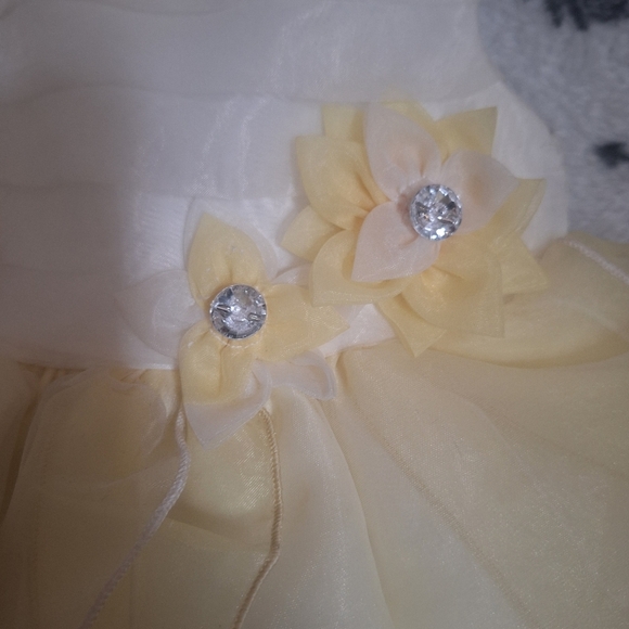 Holiday Editions - 12M Formal Dress - Picture 2 of 5